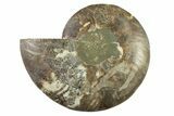 Cut & Polished Ammonite Fossil (Half) - Madagascar #341206-1